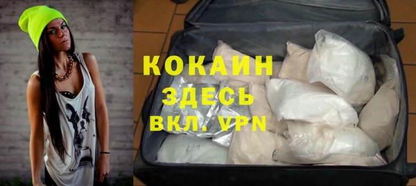 индика Новокубанск