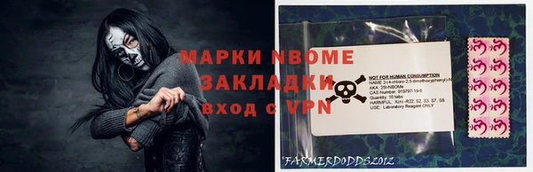индика Новокубанск