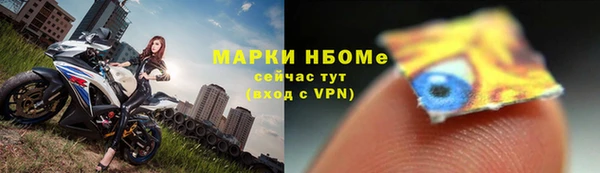 индика Новокубанск