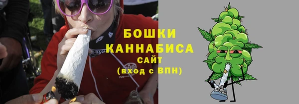 индика Новокубанск