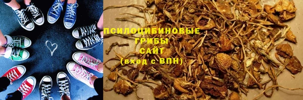 гашиш Новодвинск