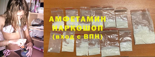 индика Новокубанск