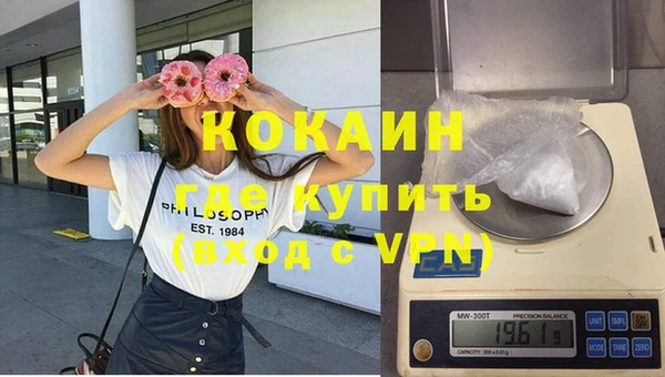 индика Новокубанск