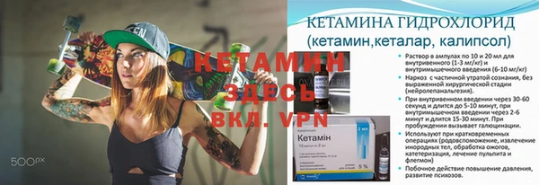 индика Новокубанск