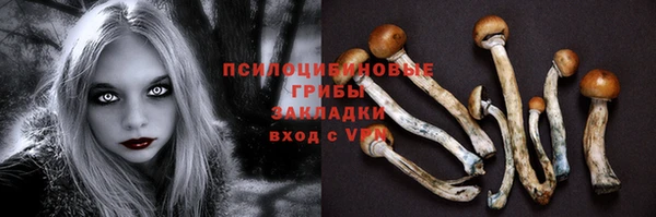 гашиш Новодвинск