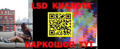 Альфа ПВП Краснодар