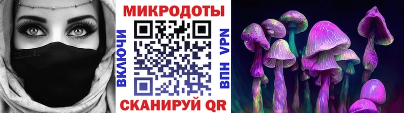 как найти закладки  hydra ссылка  Галлюциногенные грибы мицелий  Екатеринбург 