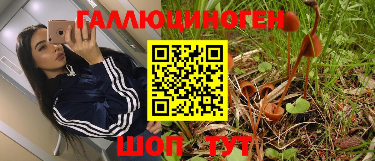 Псилоцибиновые грибы мухоморы Екатеринбург